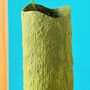 Vases - Wood Bark Clay Vase - INDIGENOUS