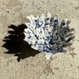 Ceramic - Flower Paper White and Blue Porcelain - GUENAELLE GRASSI