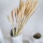 Floral decoration - Natural Wheat Dried Flower Bouquet AX70124  - ANDREA HOUSE
