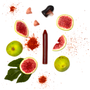 Delicatessen - Seasoning pencil single boxet - Fig & spices - Organic - OCNI FACTORY