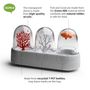 Everyday plates - Ocean Ecology - Toothpick holder + Salt and Pepper Shaker - Kitchenware : Kitchen room Spice Cactus Dining and Tableware Party - QUALY DESIGN OFFICIAL