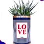 Cadeaux - Plante d'intérieur LOVE - Cactus - STYLEY