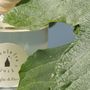 Scent diffusers - Diffuser 200 ml Fig Leaves - CAROLA FRA I TRULLI