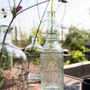 Vases - Bouteilles, carafes et pichets - VAN VERRE