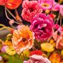 Floral decoration - Poppy language - Silk-ka Artificial flowers and plants for life! - SILK-KA