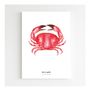 Affiches - Affiche 30 x 40 cm - Crabe rouge - BLEU COQUILLE