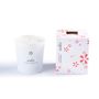 Decorative objects - WAKS ORIGINAL Scented Candles - WAKS