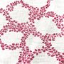 Fabric cushions - Cushion TOTI - Viburnum Collection - AVA PARIS - ALEXANDRE VEGETAL ART
