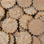 Cookies - RC°61 Pure Chocolate Shortbread - L'ATELIER DES CREATEURS