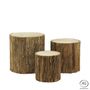 Other Christmas decorations - Set of 3 lime tree holders - AUBRY GASPARD