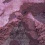 Design carpets - Rose rug - MOHEBBAN