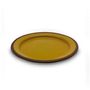 Everyday plates - Colorama dinner plate - AUTHENTIQUE LIVING