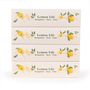 Objets de décoration - Coffret Lemon Life - 3 Sirops Brut : Bergamote, Yuzu, Lime - 3x400 ml - BACANHA