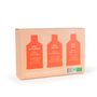 Objets de décoration - Coffret Cocktail Tonic - 3 Sirops Brut : Gingembre, Mojito, Rose - 3x400 ml - BACANHA