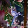 Guirlandes et boules de Noël - Colibri Kurt S. Adler  - CHRISTMAS INSPIRATIONS B.V - (KURT S. ADLER)