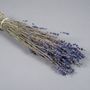 Décorations florales - Lavande séchée naturelle bleue H40cm - LE COMPTOIR.COM