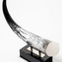 Objets design - Sculpture Twin | Corne naturelle - ZANCHI 1952