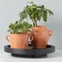 Pottery - Terracotta Italian Olive Jar Planter, Medium - ETÚHOME