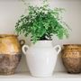 Pottery - White French Confit Pot, Large - ETÚHOME