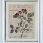 Other wall decoration - Herbarium Painting  - OFFICINA NATURALIS