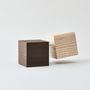 Design objects - Contemporary Japanese mobile duo/design - TEMPO