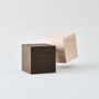 Design objects - Contemporary Japanese mobile duo/design - TEMPO
