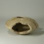 Unique pieces -  Hollow form Carpinus Betulus - STUDIO NICOLA TESSARI