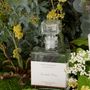 Decorative objects - Home fragrance diffuser - Immortelle Forever - IN TERRA PREZIOSA