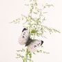 Objets de décoration - Magnet Papillon Piéride du Chou - WILDLIFE GARDEN