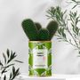 Cadeaux - MINIMAL / CACTUS HAPPY FAMILY - MRS. NOBODY