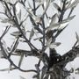 Unique pieces - Olivier brut 31 rameaux sur racines avec socle plexiglas - L'OLIVIER FORGÉ