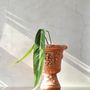 Pottery - Venus Agave , Plant pot , Handmade Terracotta - ATRIUM DESIGN STUDIO