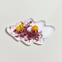 Gifts - Biodegradable paper plate - Oak Leaf - KHJ STUDIO(KIM HYUNJOO STUDIO)