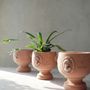 Pottery - Holy Grail , Plant pot , Handmade Terracotta - ATRIUM DESIGN STUDIO