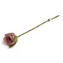 Décorations florales - Rose - Feutre - GRY & SIF