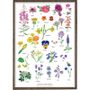 Other wall decoration - EDIBLE FLOWERS-  poster in different sizes - KOUSTRUP & CO
