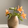 Decorative objects - Ecru Jar - STILLGOODS