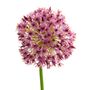 Floral decoration - Allium - LOU DE CASTELLANE - Artificial flowers that are more real than life  - LOU DE CASTELLANE