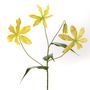Floral decoration - Gloriosa royal - LOU DE CASTELLANE - Artificial flowers that are more real than life  - LOU DE CASTELLANE