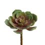 Floral decoration - Echeveria ciliata - LOU DE CASTELLANE - artificial plants and flowers - LOU DE CASTELLANE