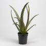 Floral decoration - Aloe cactus pot - LOU DE CASTELLANE - artificial plants and flowers - LOU DE CASTELLANE