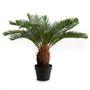 Floral decoration - Cycas palms - LOU DE CASTELLANE - artificial plants and flowers - LOU DE CASTELLANE
