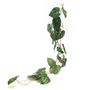 Décorations florales - Guirlande clarinervium - LOU DE CASTELLANE - plantes et fleurs artificielles - LOU DE CASTELLANE