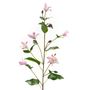 Décorations florales - Clématite- LOU DE CASTELLANE - Fleurs artificielles plus vraies que nature  - LOU DE CASTELLANE