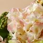 Décorations florales - Hortensia - LOU DE CASTELLANE - Fleurs artificielles plus vraies que nature  - LOU DE CASTELLANE