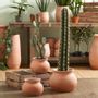 Floral decoration - Cactus - LOU DE CASTELLANE - artificial plants and flowers - LOU DE CASTELLANE
