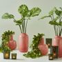 Décorations florales - Vase nikko - LOU DE CASTELLANE - plantes et fleurs artificielles - LOU DE CASTELLANE