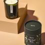 Cadeaux - Green Botanical Soy Candle - AERY LIVING
