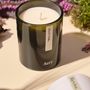 Gifts - Green Botanical Soy Candle - AERY LIVING