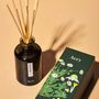 Gifts - Green Botanical Diffuser - AERY LIVING